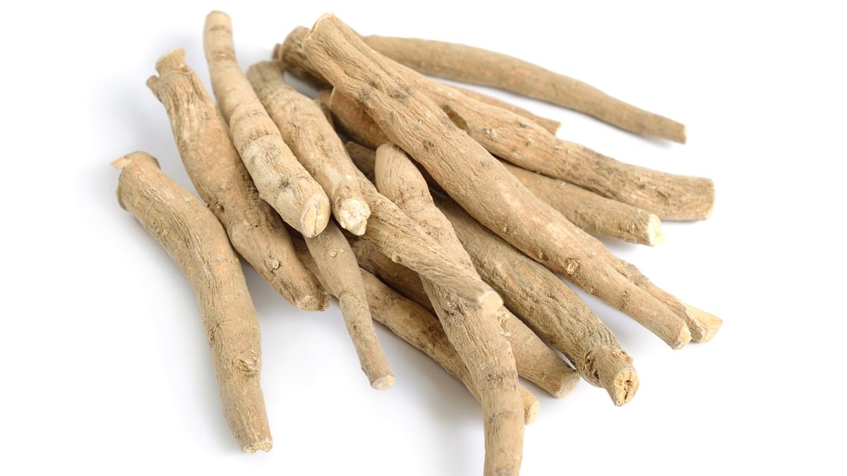 Ashvagandha: Ashvagandha means ‘‘The Smell and Strength of a Horse’’ and is commonly known as Indian Ginseng also. It is popularly used to reduce stress and to improve the immune system- the body's defence system against diseases. Credit: Getty Images