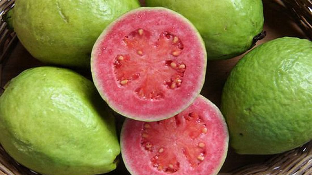 Guava: The guava is a sweet and delicious fruit, cultivated in tropical climates and contains a high amount of Vitamin C, which has an important role in improving the overall immune system. Guava also possesses anti-inflammatory properties that help to inhibit inflammatory molecules. Credit: DH Photo