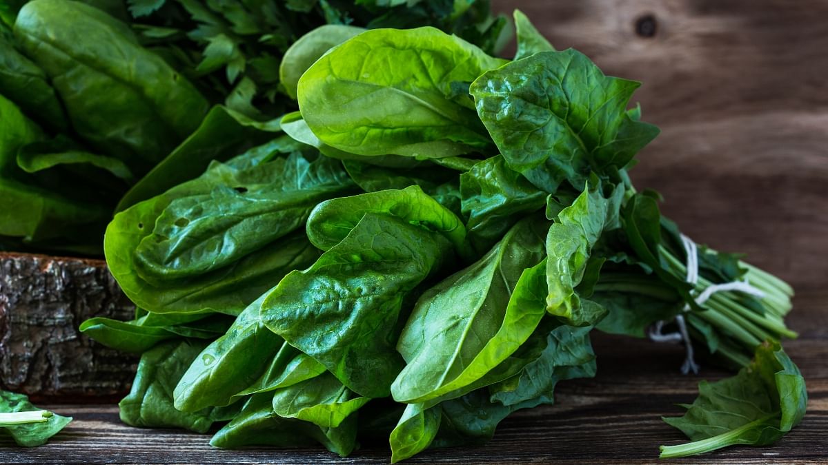 Spinach: Spinach is a good source of various immune-boosting ingredients such as Flavonoids, Vitamin C, Vitamin A, Vitamin E and Magnesium. It also contains Folic Acid, which is helpful in pregnancy, heart ailments, brain health and cell repairing. Credit: Getty Images