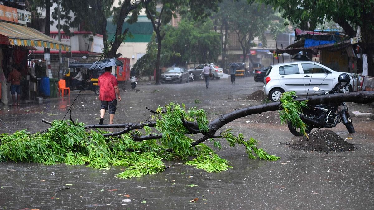 Trees were also uprooted at several places due to the extremely severe cyclonic storm. Credit: PTI