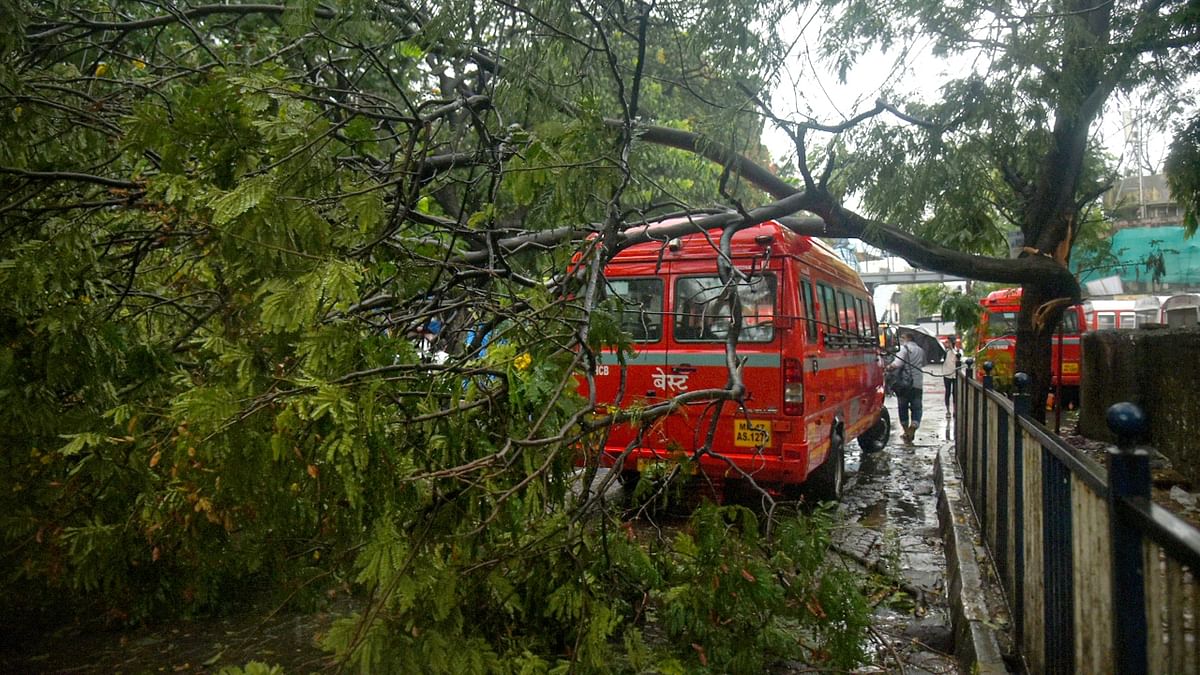 A tree fell a BEST bus during the formation of cyclone Tauktae, at BEST bus depot in Andheri. Credit: PTI