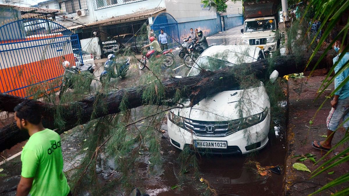 A car damaged after a tree fell on it during the formation of cyclone Tauktae, at Vashi. Credit: PTI