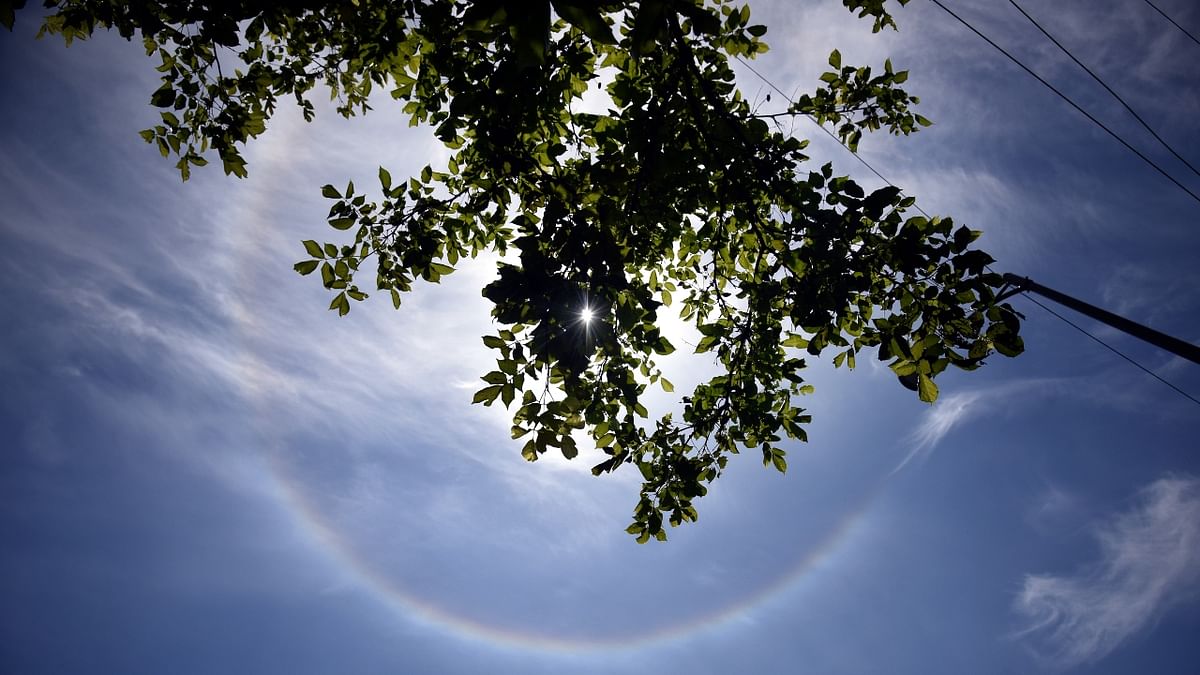 Circular halos are produced by cirrus clouds, which are thin, detached, hair like clouds. Credit: DH Photo