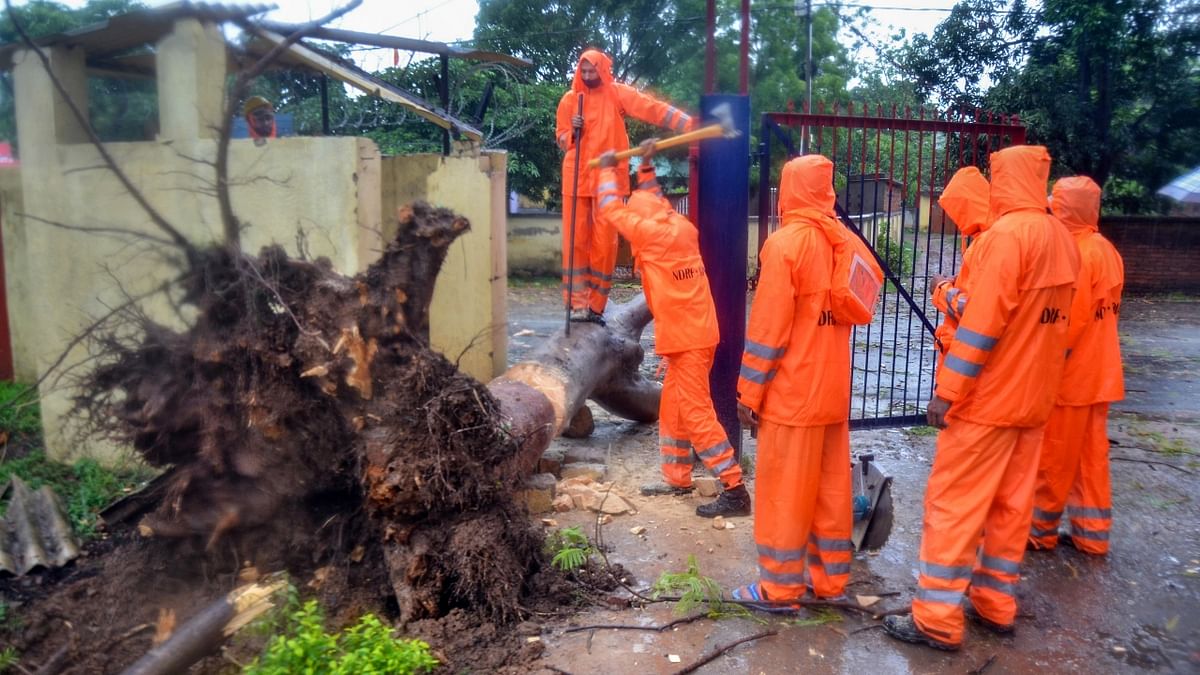 National Disaster Response Force (NDRF) team tries to remove a tree collapsed after heavy rain during cyclone Yaas, in Ranchi. Credit: PTI Photo