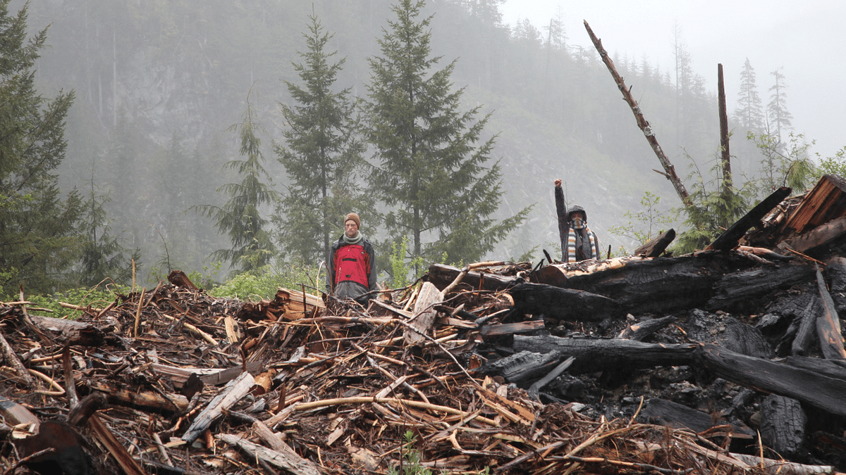 Protesters stand on debris of a cutblock as RCMP officers arrest protesters in the Fairy Creek area of Vancouver Island. Credit: Reuters Photo