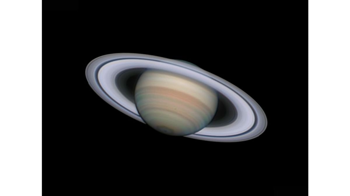 Saturn at its Best. Credit: Damian Peach (UK)