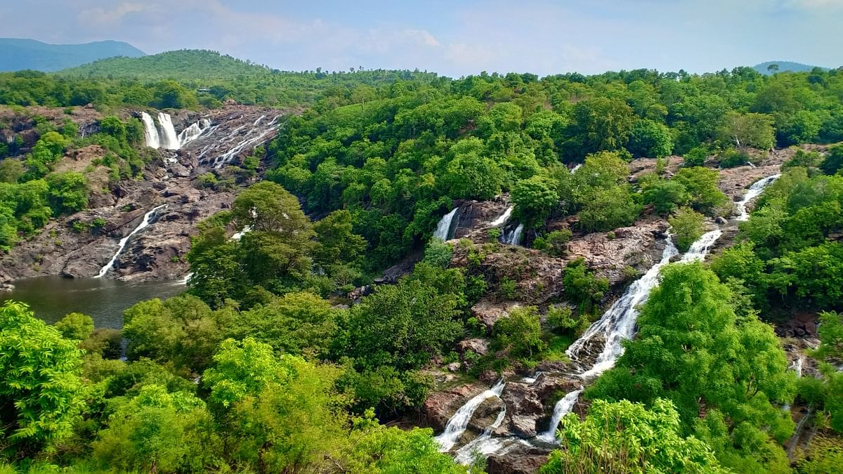 Barachukki Falls: One will easily forget the virus at this waterfall. The water plunges down a gorge from a height of nearly 70 metres giving an impressive view of the lush Indian landscape.