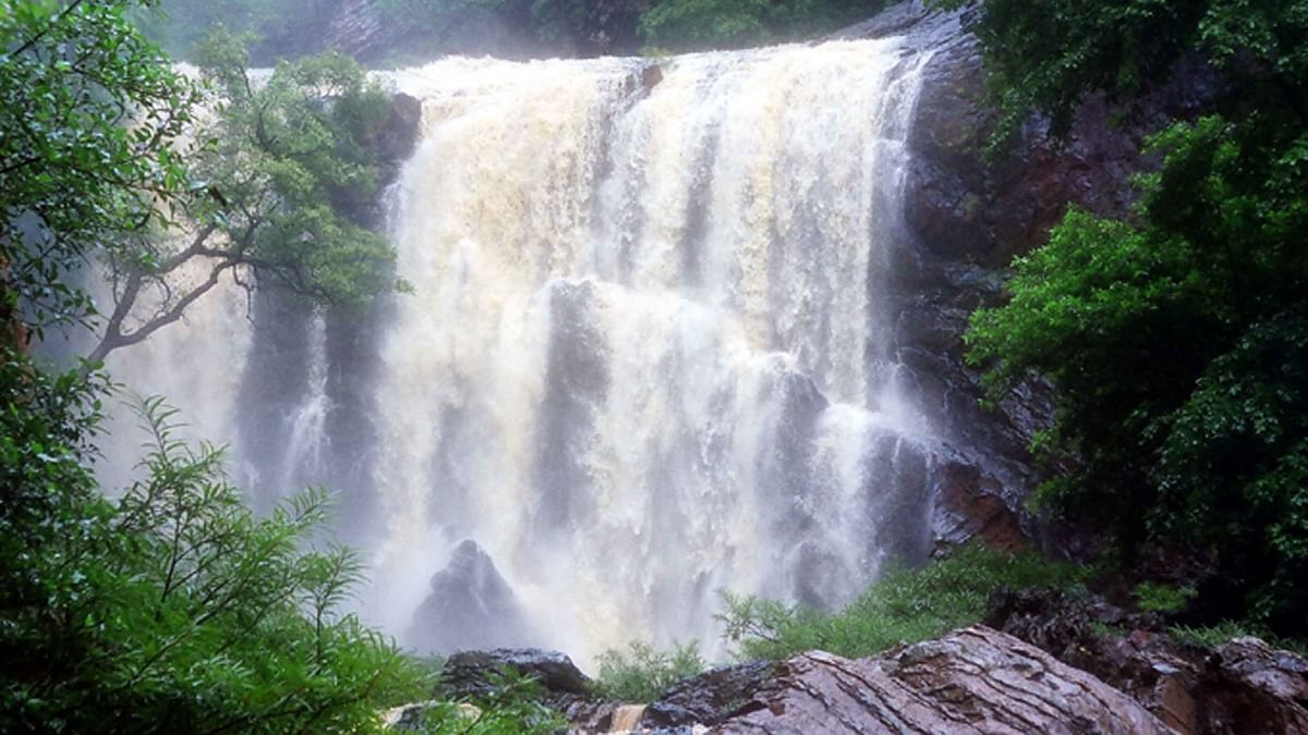 Sathodi Falls: Located near Kallaramane Ghat, near Yellapur, the surrounding near waterfalls is some of the greenest you will see in the region, regardless of which season you come here.