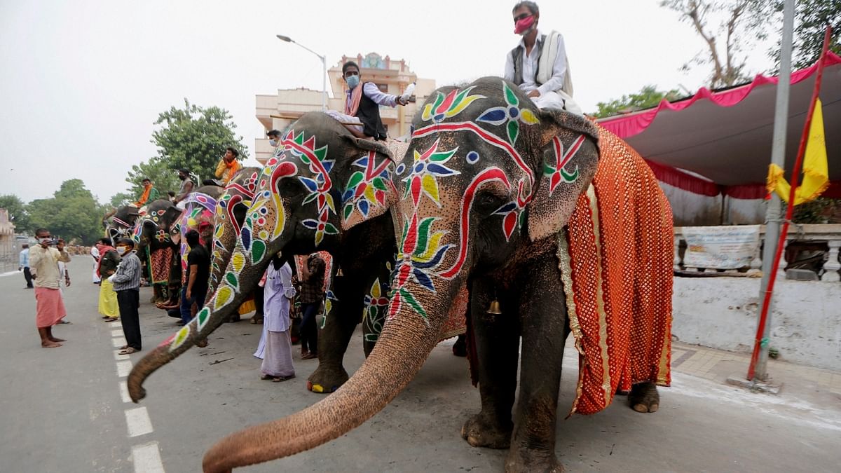 Decorated elephants are seen during the annual 'Rath Yatra' festival, in Ahmedabad. Credit: PTI Photo