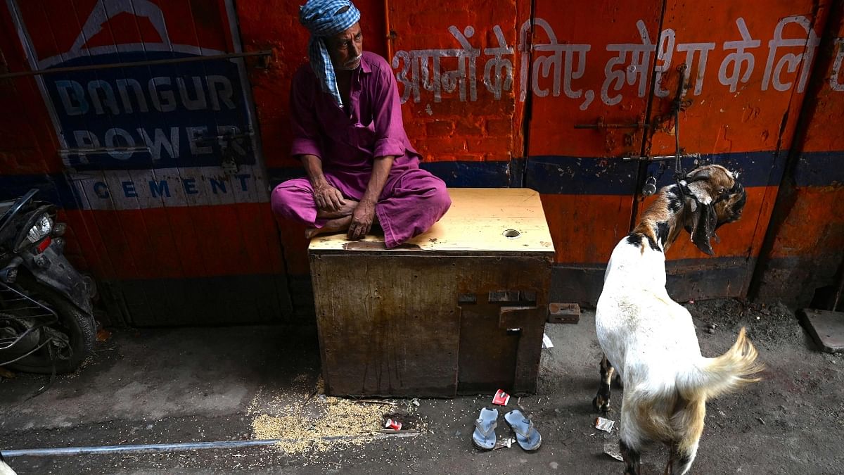 A vendor waits for customers as he sits inside an alley to sell his goat ahead of the Muslim festival Eid-al-Adha in New Delhi. Credit: AFP Photo