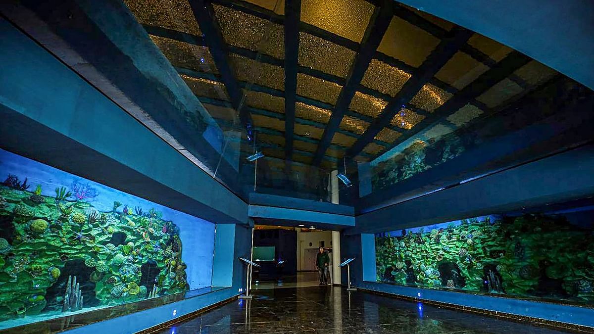 The gallery also has a 28-meter-long underwater walkway tunnel for watching the marine species. Credit: PTI Photo