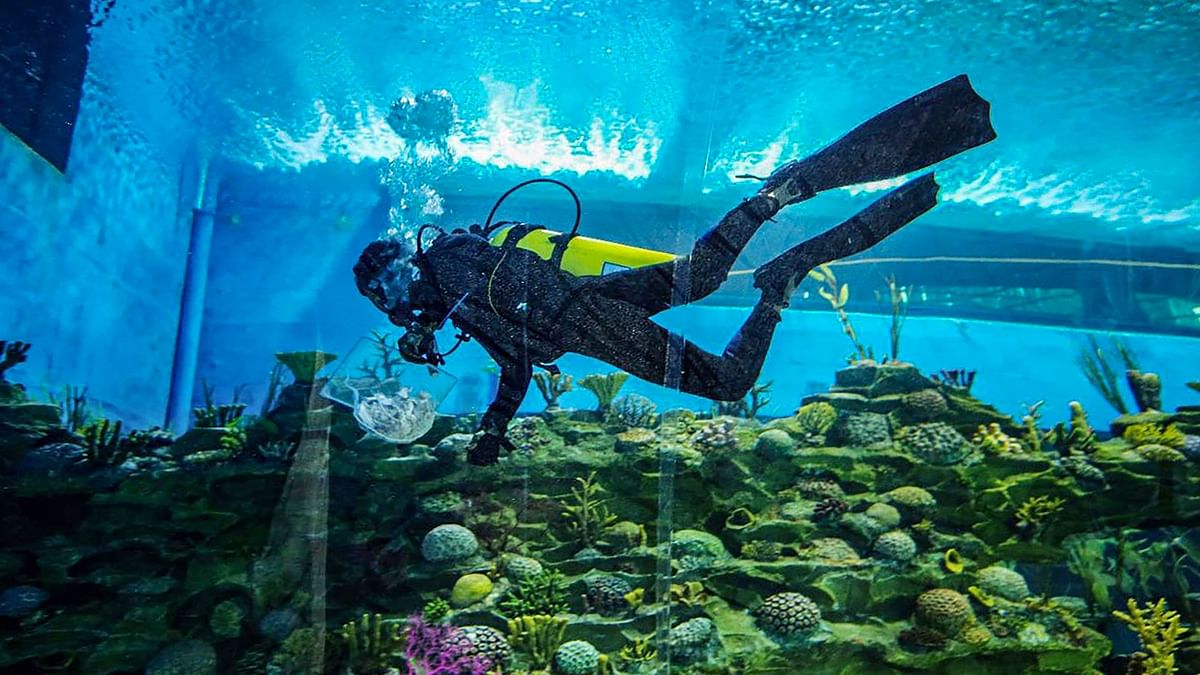 The aquatic gallery, built at a cost of Rs 260 crore in the Science City, is India's largest aquarium having 68 large tanks to display marine life from across the world, including reef sharks, alligator gar, Koi and black pacu fish among others. Credit: PTI Photo