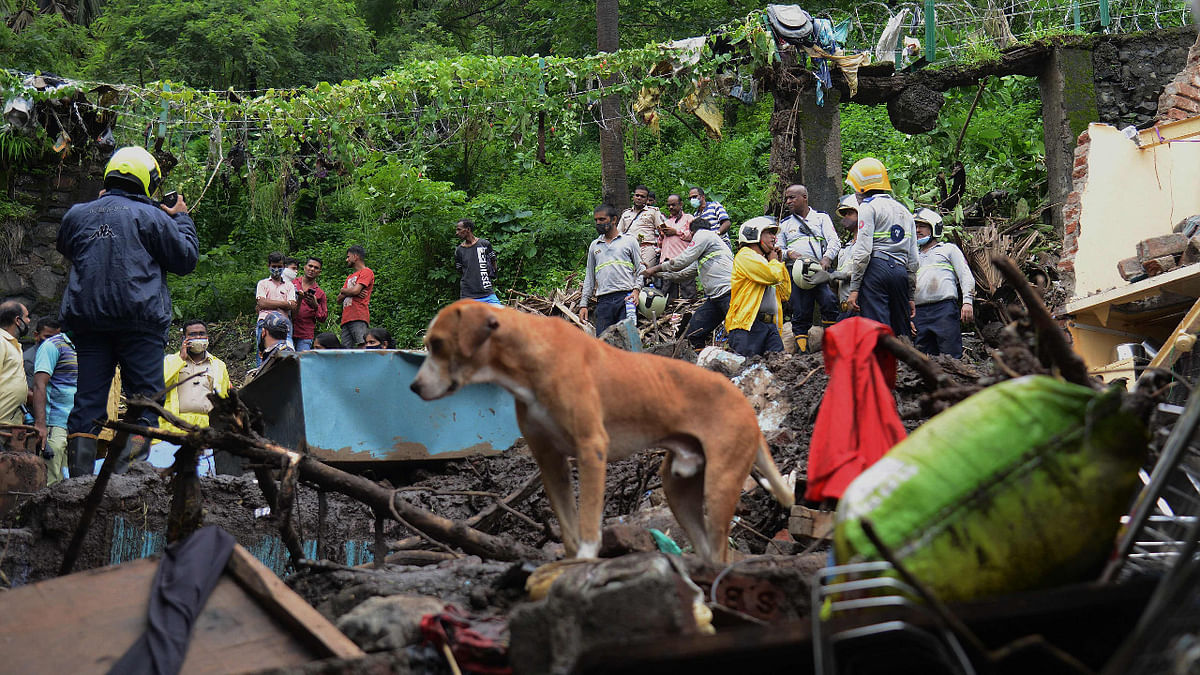 National Disaster Response Force (NDRF) and other rescue team personnel inspect the site of the landslide in a slum area where 18 people were killed after several homes were crushed by a collapsed wall and a landslide triggered by heavy monsoon rains. Credit: AFP Photo