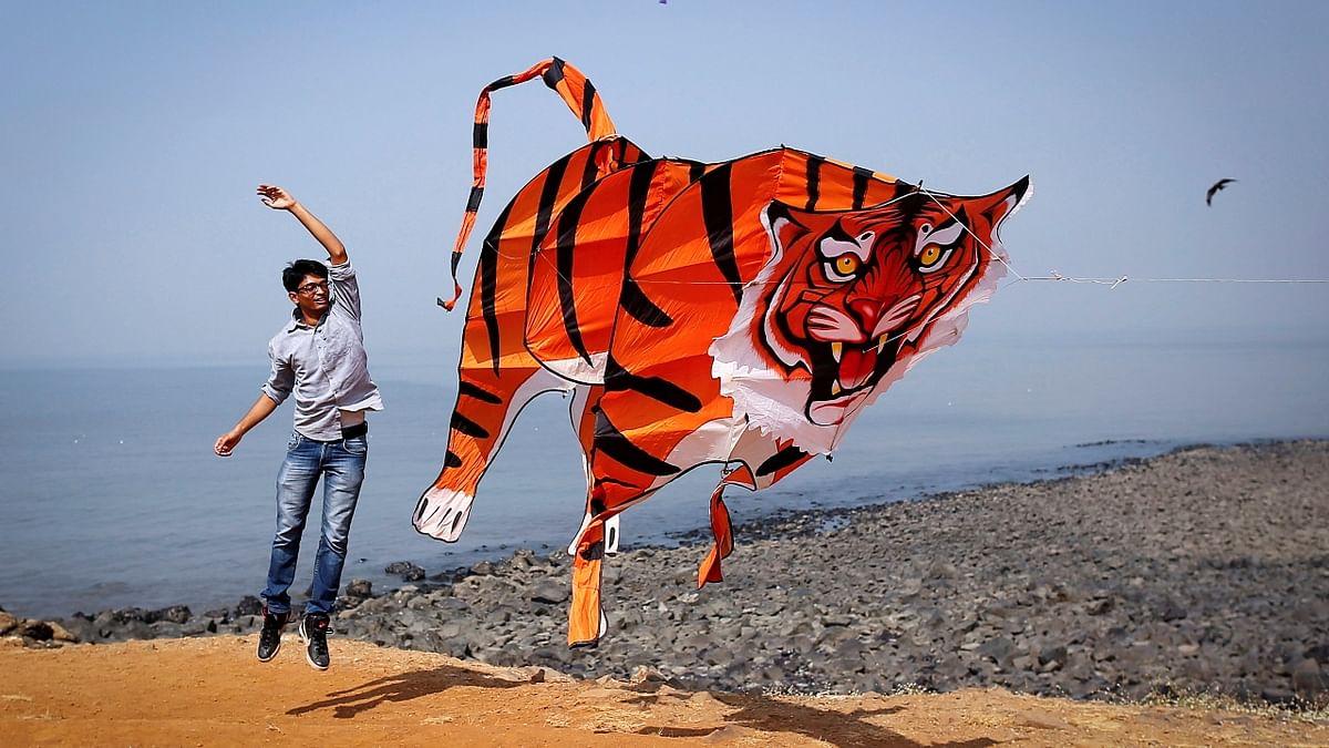 A participant flies a tiger shaped kite during the International Kite Festival in Mumbai. Credit: Reuters/ Danish Siddiqui