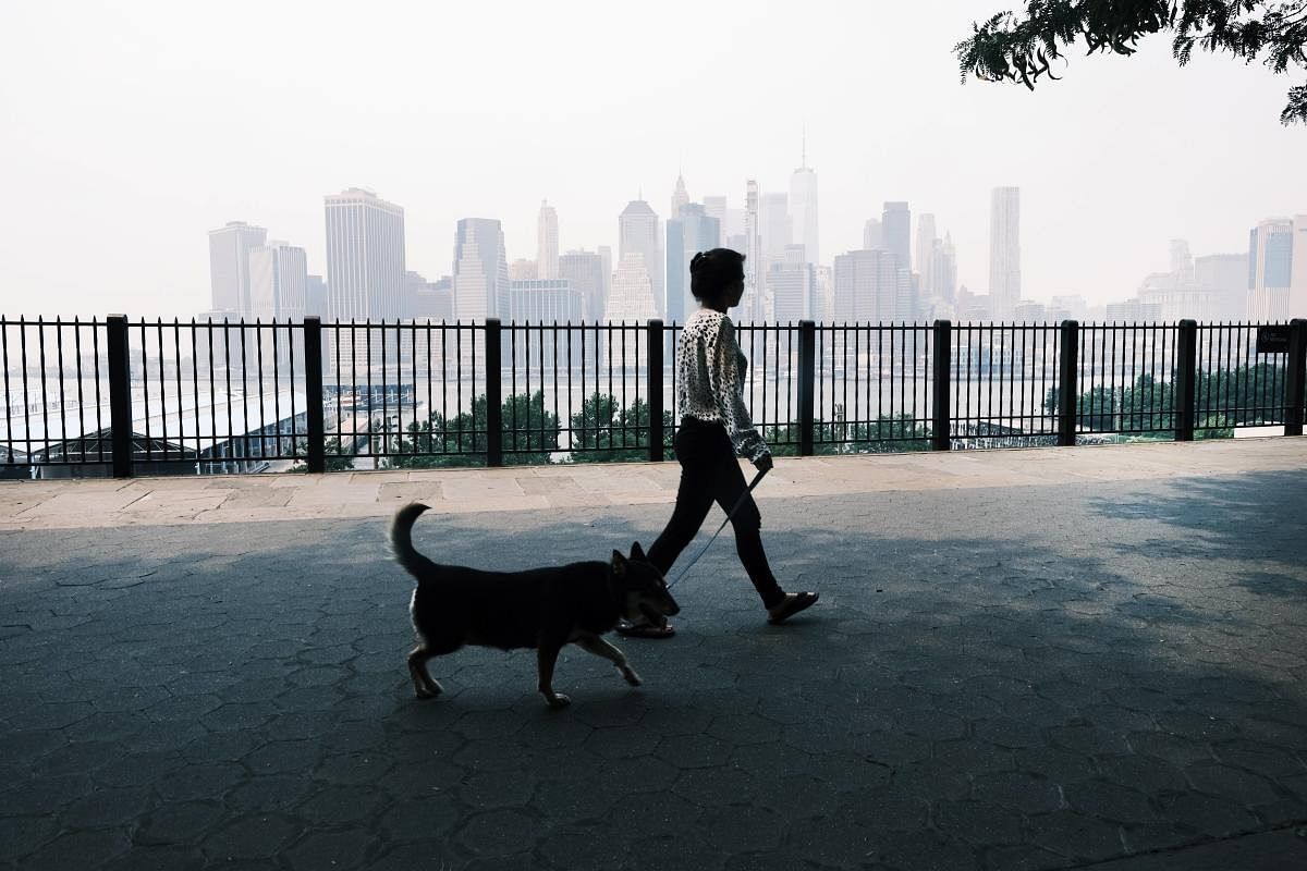 The Manhattan skyline sits under a cloud of haze. Wildfire smoke from the west has arrived in the tri-state area creating decreased visibility and a yellowish haze in many areas. Credit: AFP Photo