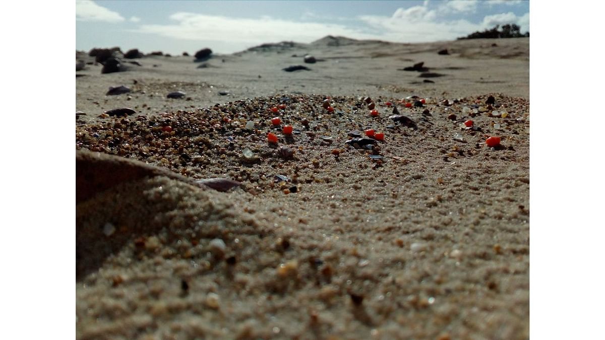 Plastic waste has become part of our microcosmos, even found among the grains of sand on this Uruguayan beach. Photo by Mauricio Ruiz (Uruguay)