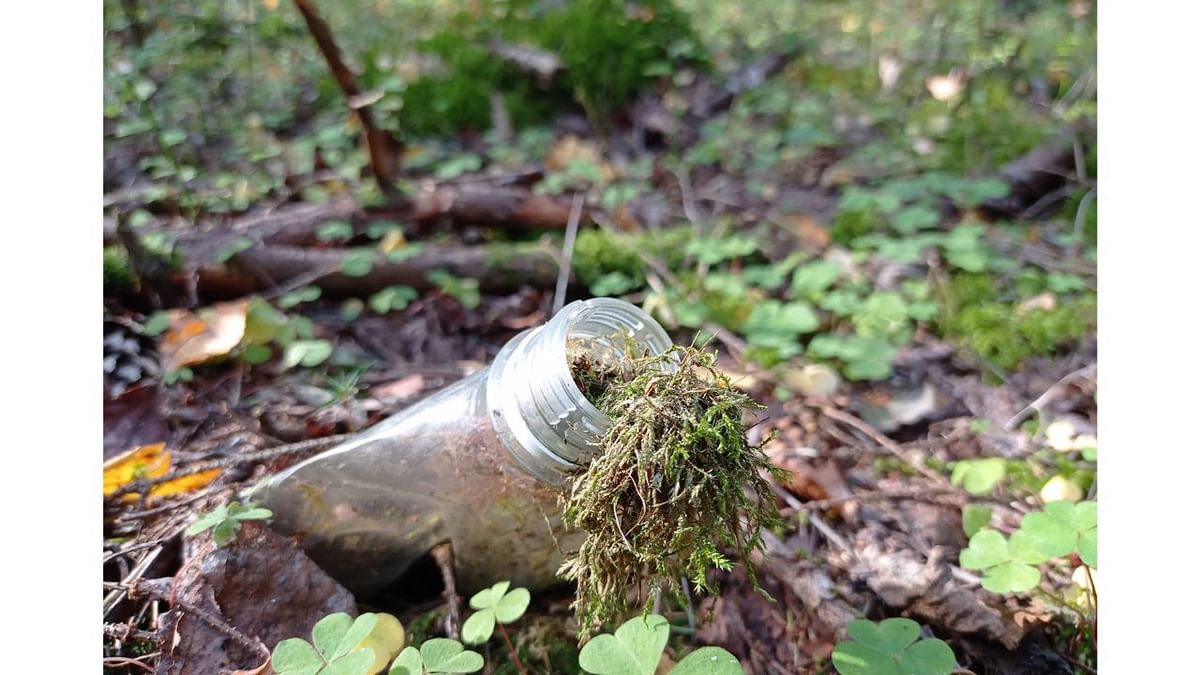 Ever since ancient times, Lithuanian forests have been a place of tranquillity. Now nature is sending us a message, sadly in a plastic bottle. Photo by Jurgita Šukienė (Lithuania)