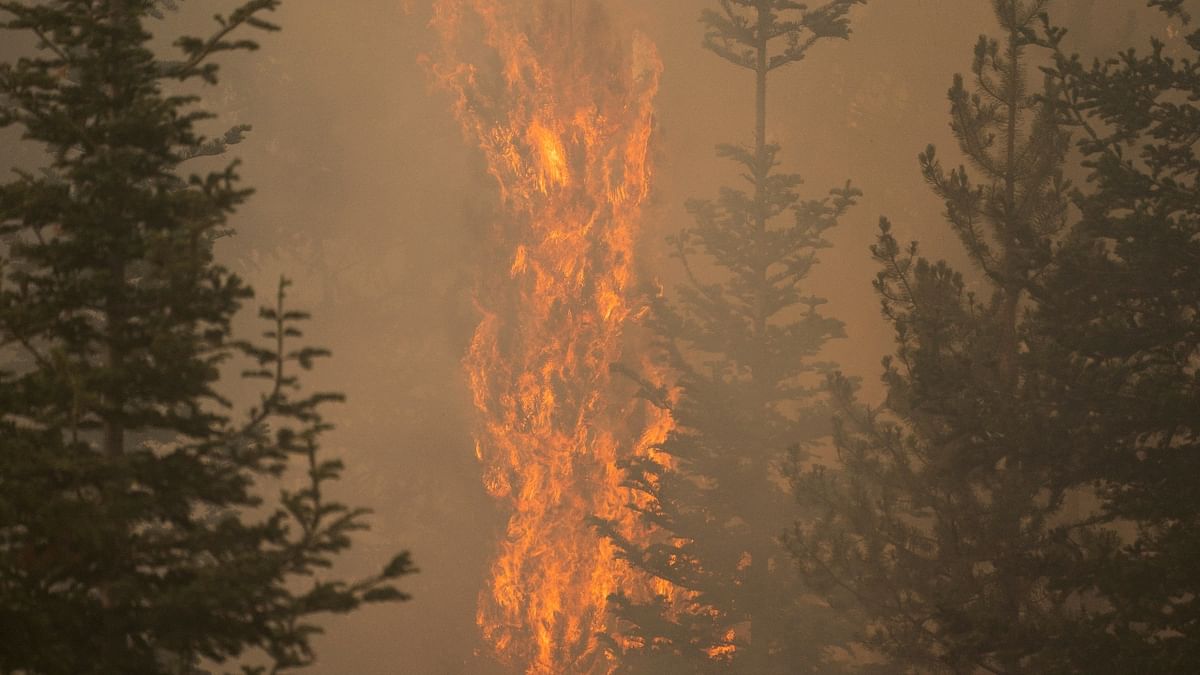 Fire crews have had to retreat from the flames for 10 consecutive days as fireballs jump from treetop to treetop, trees explode, embers fly ahead of the fire to start new blazes and, in some cases, the inferno's heat creates its own weather of shifting winds and dry lightning. Credit: Reuters Photo