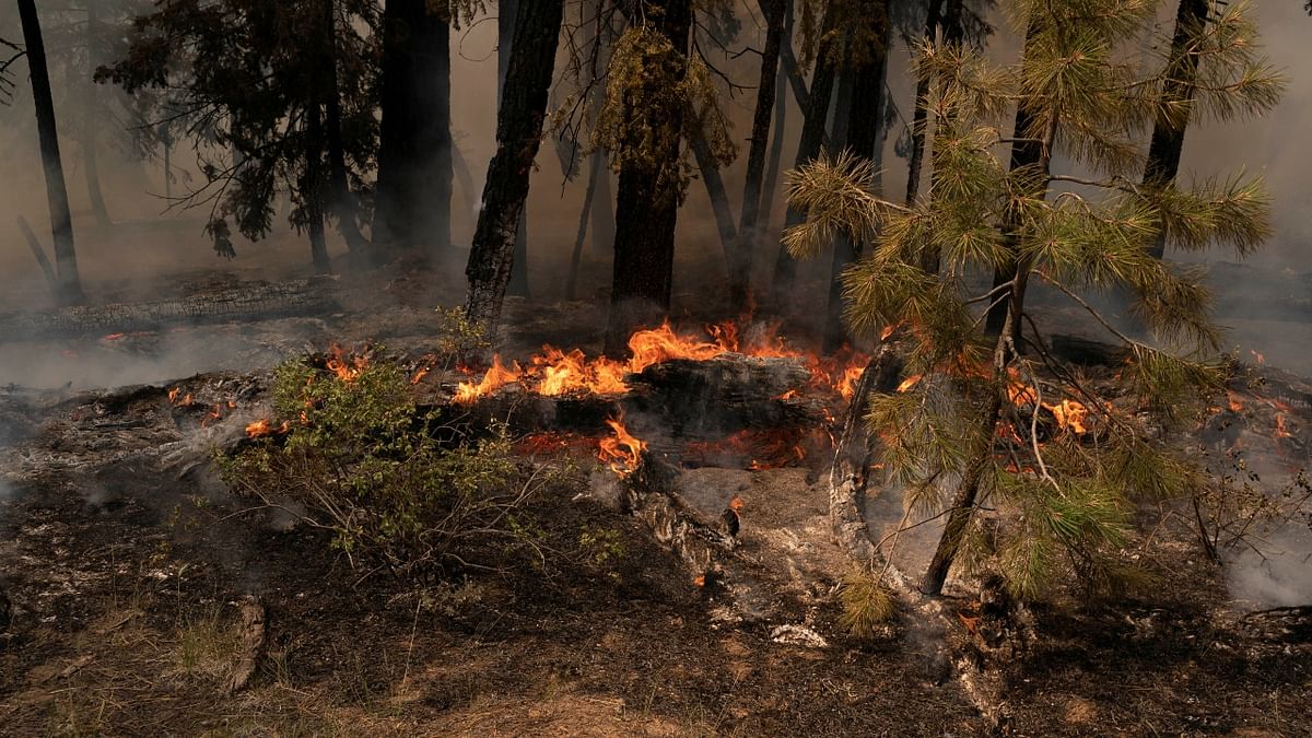 Extremely dry conditions and recent heat waves tied to climate change have made wildfires harder to fight. Credit: Reuters Photo