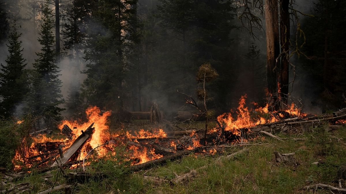 Climate change has made the West much warmer and drier in the past 30 years and will continue to make weather more extreme and wildfires more frequent and destructive. Credit: Reuters Photo