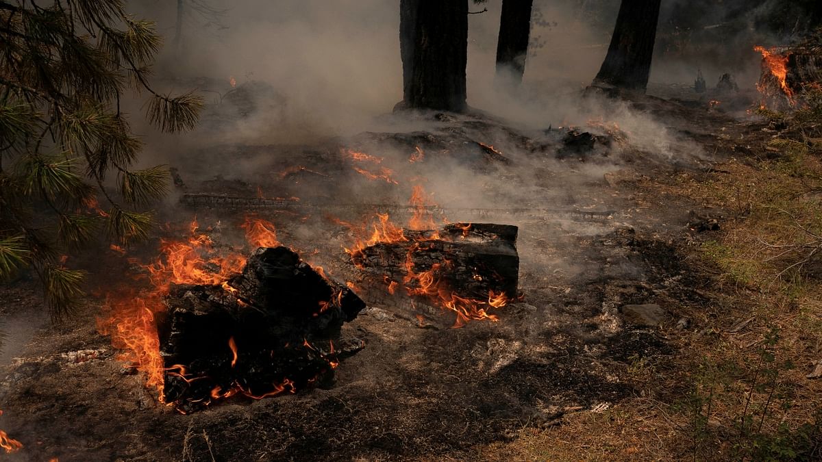 The Bootleg Fire burns through vegetation near Paisley, Oregon, US. Credit: Reuters Photo