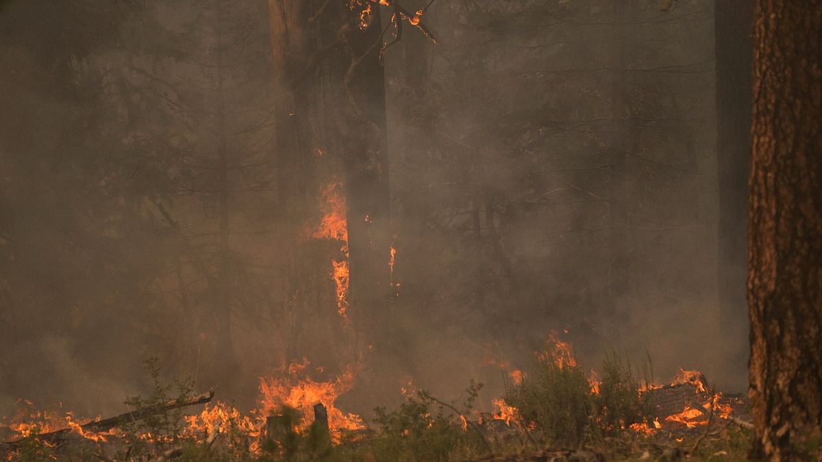 The Bootleg Fire burns through vegetation near Paisley, Oregon in US. Credit: Reuters Photo
