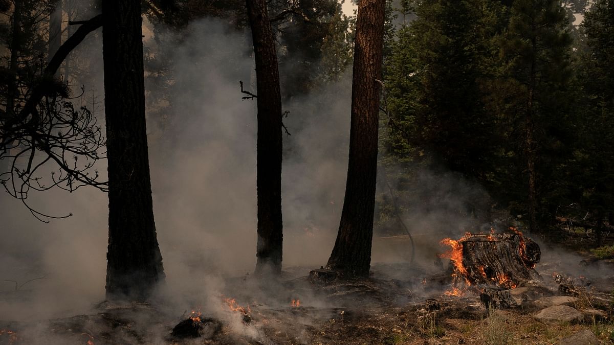 Oregon's Bootleg wildfire, currently the largest active blaze in the US, has scorched over 390,000 acres in the US state's Lake and Klamath counties with 32 per cent containment. Credit: Reuters Photo