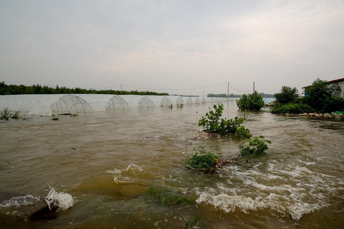 A flooded farm is seen near Cao village following heavy rainfall in Anyang, Henan province, China. Credit: Reuters Photo