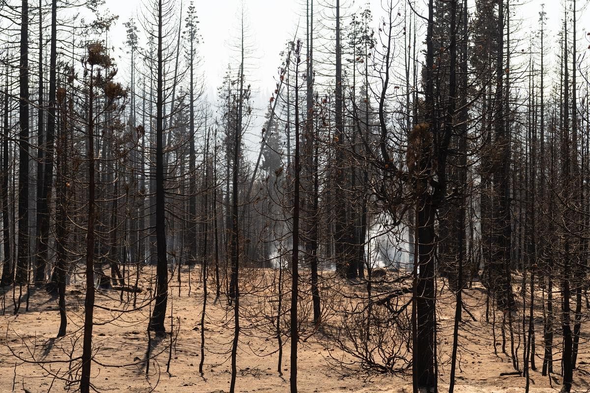 The Bootleg Fire, which started on July 6th near Beatty, Oregon, has burned over 395,000 acres and is currently 38% contained. Credit: AFP Photo