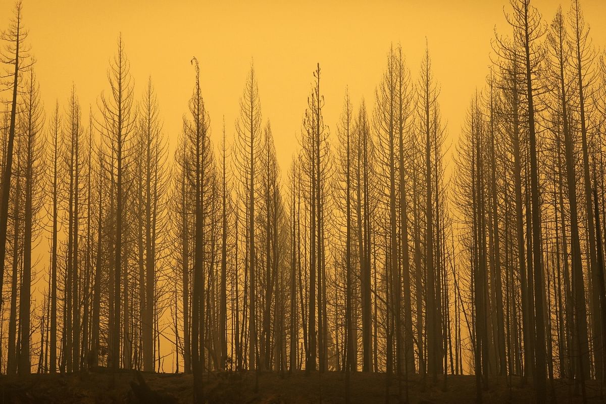 Ash from the Dixie Fire blankets Crescent Mills, California. Credit: Reuters photo