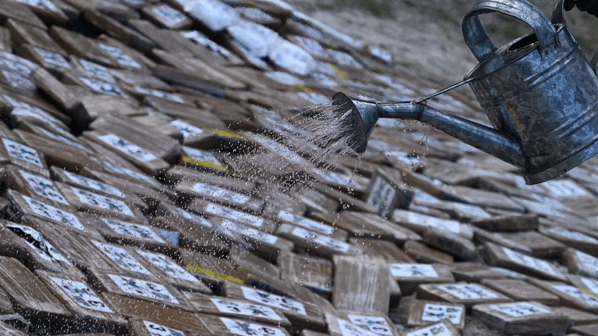 A member of the Attorney General's office waters packages of cocaine with a flammable liquid before they are incinerated in Ilopango, El Salvador. Credit: AFP Photo