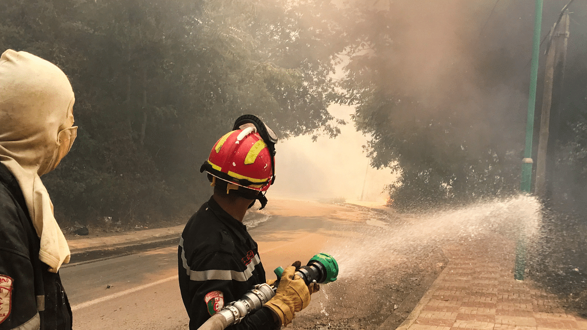 A firefighter uses a water hose during a forest fire in Ain al-Hammam village in the Tizi Ouzou region, east of Algiers, Algeria. Credit: Reuters Photo