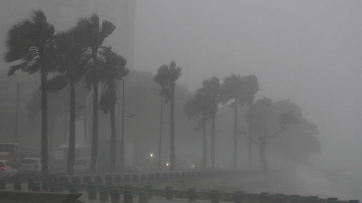 Palm trees sway in the wind and rain during the passage of Tropical Storm Fred in Santo Domingo, Dominican Republic. Credit: Reuters Photo