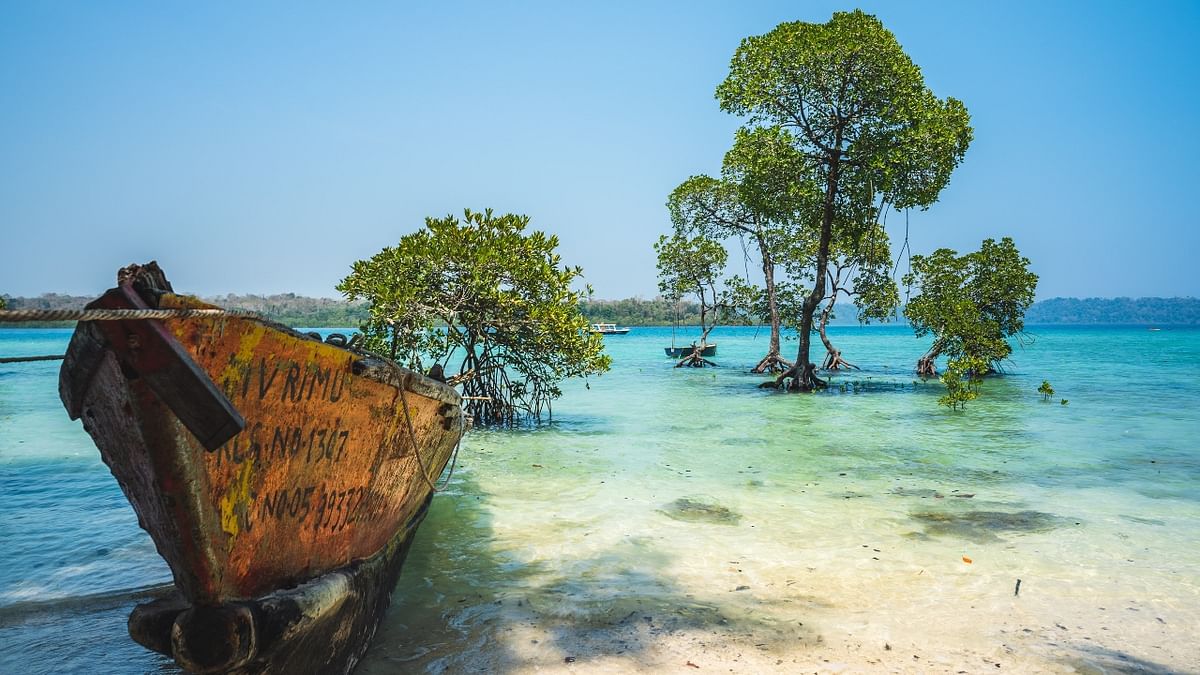 Andaman - As you reach this island, you can’t help but notice its sheer beauty which makes you to capture it on the lens. Credit: Unsplash/Tatonomusic