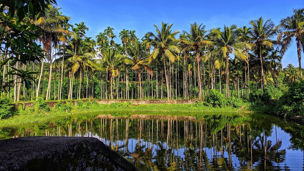 Kerala: ‘Gods own country’ is known for its greenery, coastal weather and backwaters, and is a perfect place to click postcard pictures. Credit: Unsplash/Vishnu Prasad