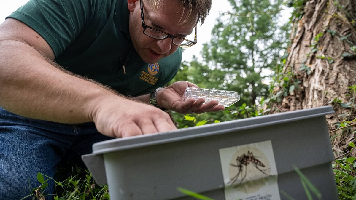 Matthew Vanderpool, environmental health specialist and entomologist for the Louisville Metro Department of Public Health and Wellness, collects mosquito eggs from a water basin trap on August 25, 2021 in Louisville, Kentucky. Credit: AFP Photo
