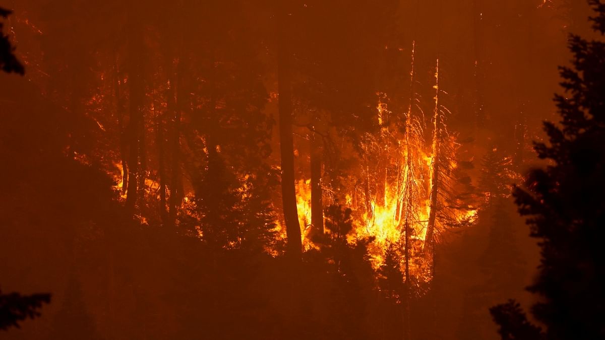 Caldor Fire burns near Strawberry, California, US. Credit: Reuters photo