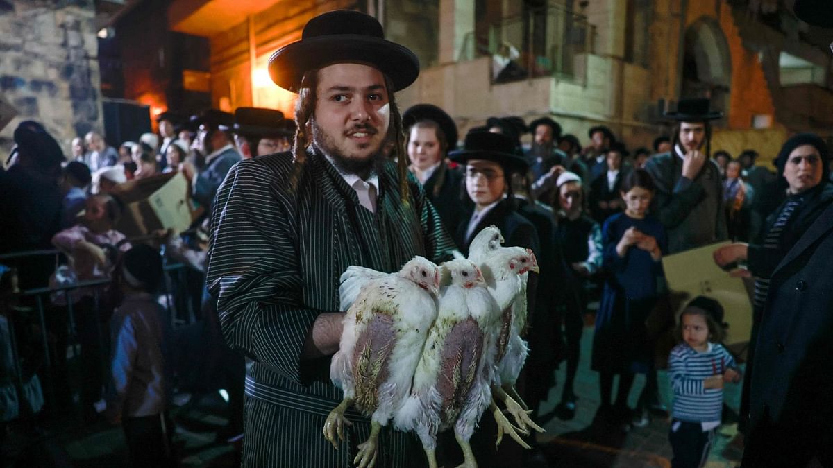 An ultra-Orthodox Jewish man holds chicken before preforming the Kapparot ceremony in an ultra-Orthodox neighbourhood in Jerusalem. Credit: AFP Photo
