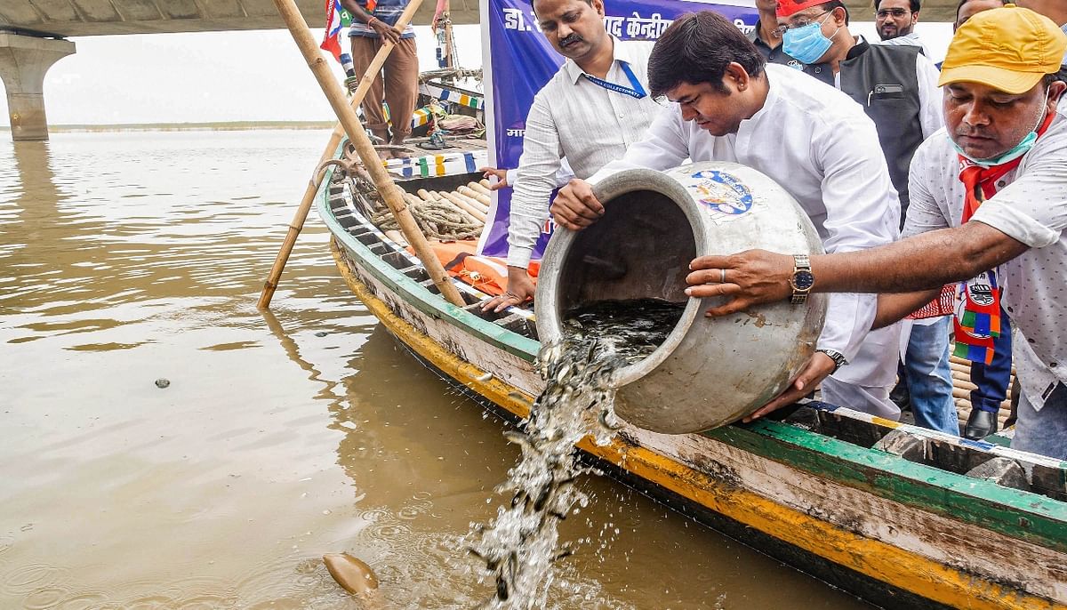 Bihar state minister Mukesh Sahni restored 71,000 fish in Ganga river to celebrate 71st birthday of Prime Minister Narendra Modi, in Patna. Credit: PTI Photo