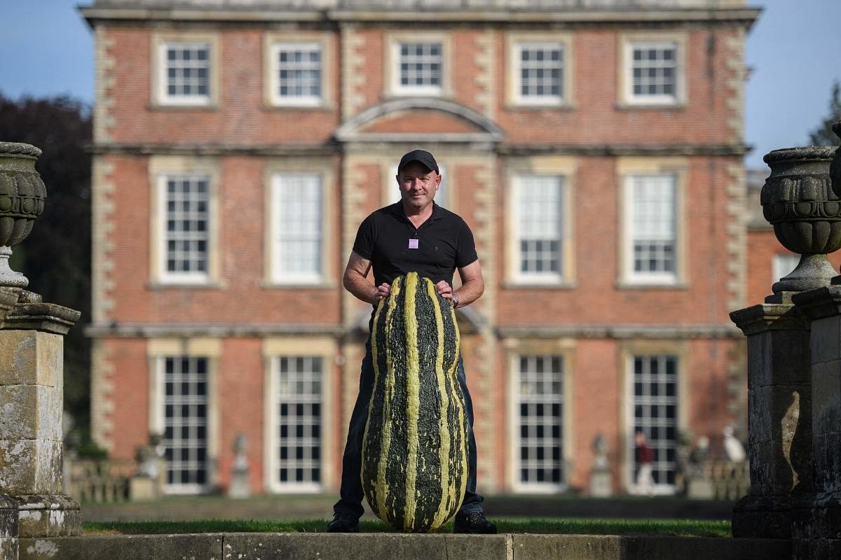 Grower John Simpson poses with his huge marrow weighing 65kg after it achieved 2nd place in the giant vegetable competition on the first day of the Harrogate Autumn Flower Show held at Newby Hall country house, near Ripon, northern England. Credit: AFP Photo
