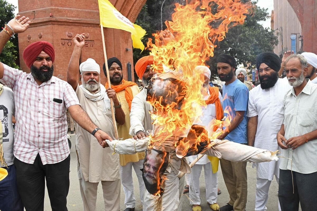 Farmers shout slogans as they burn an effigy of India's Prime Minister Narendra Modi during a protest against the central government's agricultural reforms, in Amritsar. Credit: AFP Photo