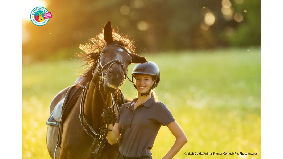 This photo was taken by accident during the photography of my ex-girlfriend with her beloved mare. For this cheerful moment, I thank the fly that sat on the horse's nose and he instinctively shook his head. And so it seems that the humor between a horse and a woman is definitely not missing. Credit: Jakub Gojda/Animal Friends Comedy Pet Photo Awards