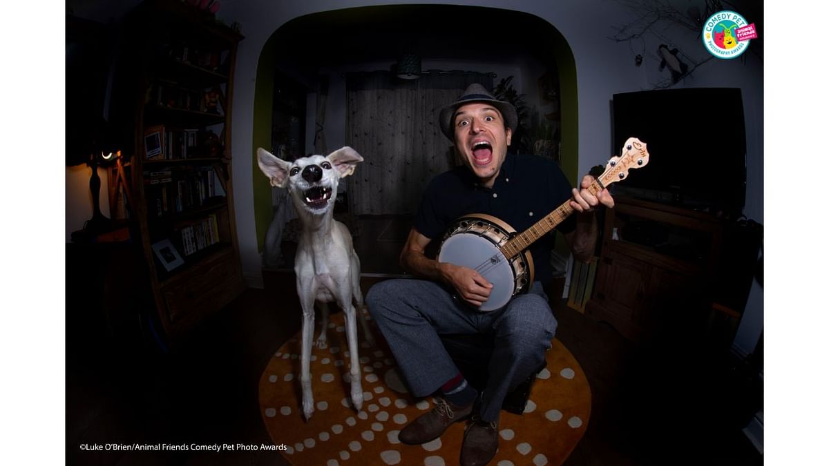 Losing the opportunity to play with my human band mates during lockdown, Flint my rescue dog soon taught me that we didn't just have sharp bones in common, but musical ones too. With my camera set up remotely during this shoot, I think it's fair to say that the image is proof that his conviction as a performer matches my own - well, we were covering