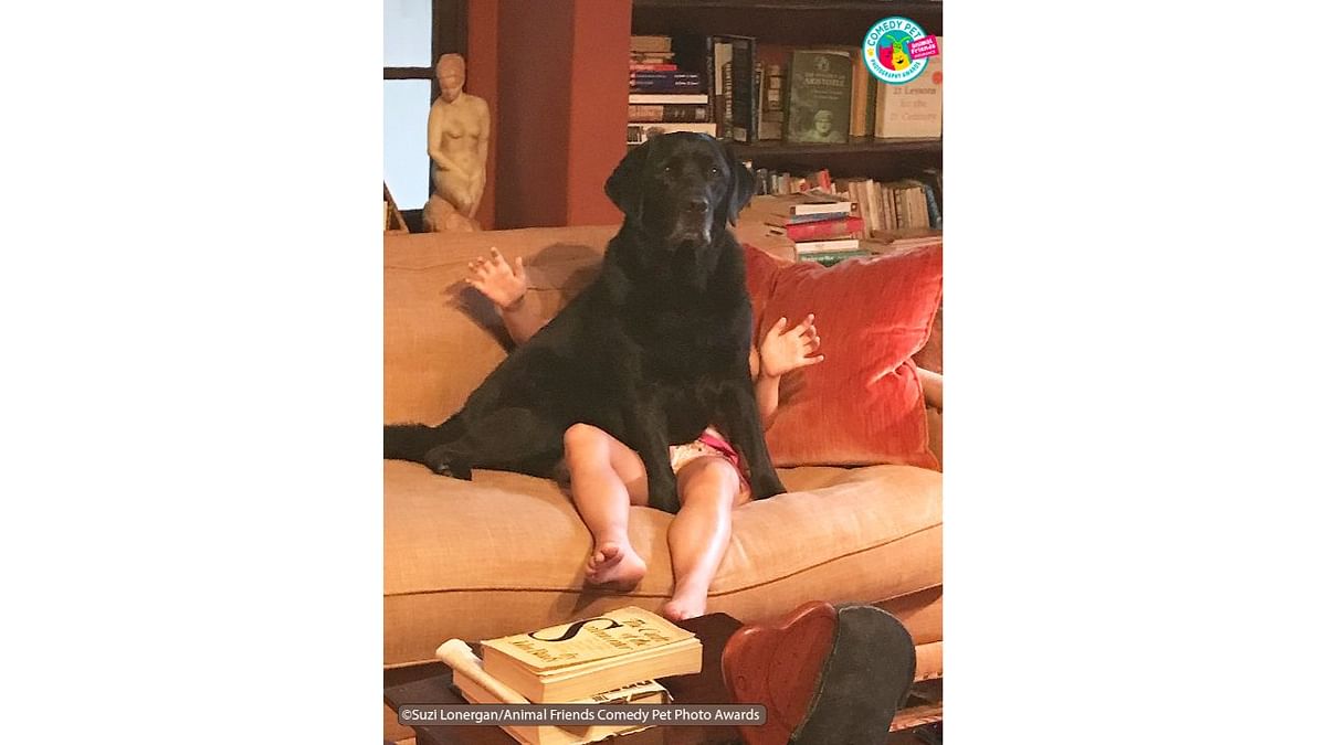 Our granddaughter gave the command to sit. Beau is very obedient. Credit: Suzi Lonergan/Animal Friends Comedy Pet Photo Awards