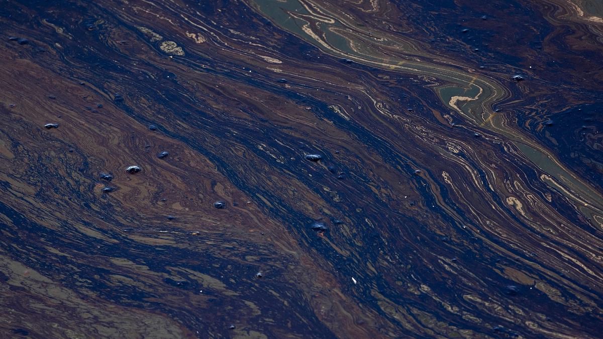 In Pics | Beaches closed as 126,000 gallons of spilled oil damages California wetlands
