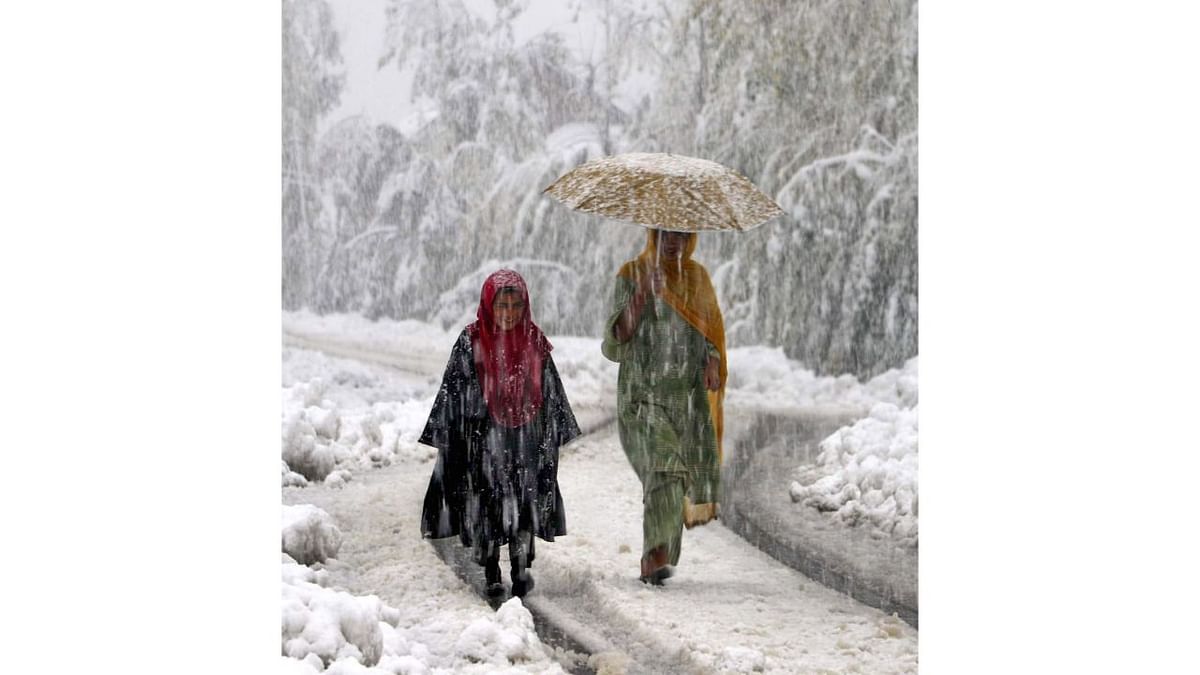 Meanwhile, heavy rainfall has been going on in Srinagar city and other plains of the valley. Credit: Pallav Paliwal
