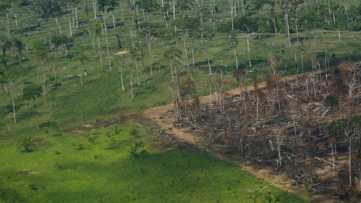 An aerial view shows a deforested plot of the Amazon rainforest in Rondonia State, Brazil. Credit: Reuters photo