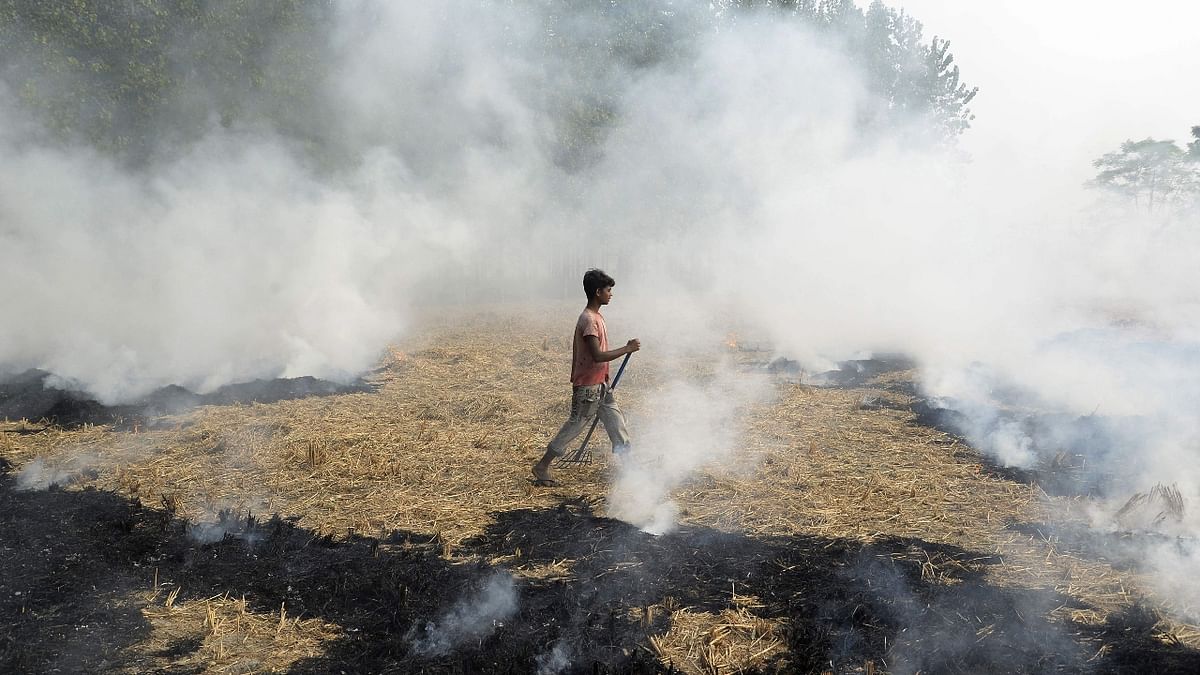 Forest fires and stubble burning: Dry leaves catches fire easily in the forest and are one of the major contributors to air pollution. Also, stubble burning causes air pollution worsening its quality and causing deadly diseases. Controlling this practice will help make the surroundings healthier for living. Credit: AFP Photo