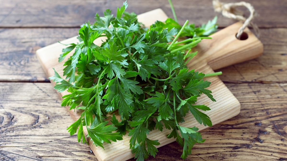 Parsley is great for digestion and contains three times the amount of vitamin C as compared to oranges. Credit: Getty Images