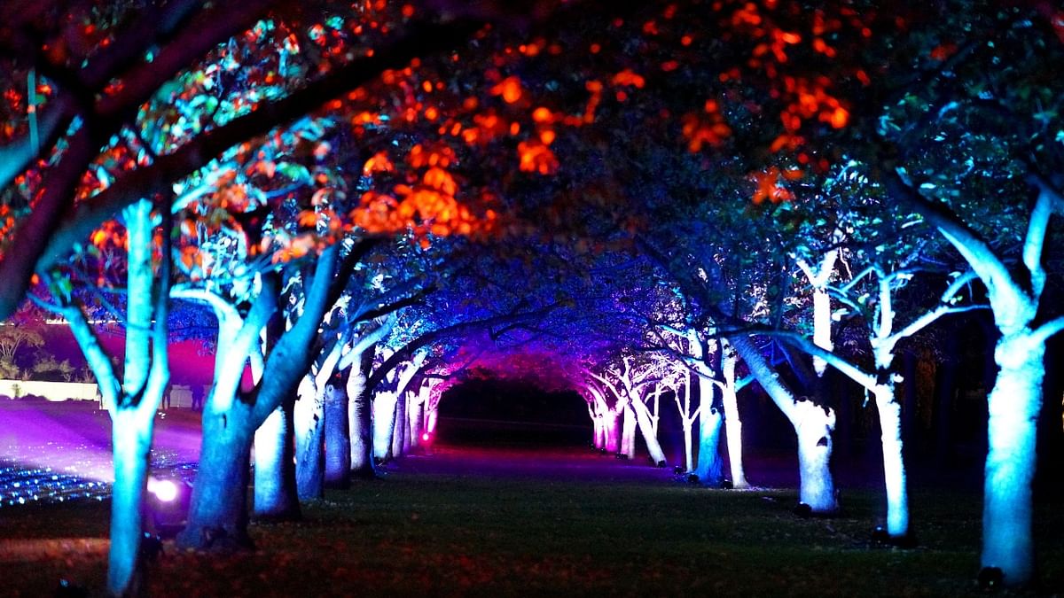 A view of the Lightscape exhibit, with over a million lights, at the Brooklyn Botanic Garden in the Brooklyn borough of New York City, New York. Credit: Reuters Photo